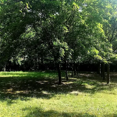 Appartement Orizzonte Marino Giallo Angolo Solare Verso La Laguna Cavallino-Treporti